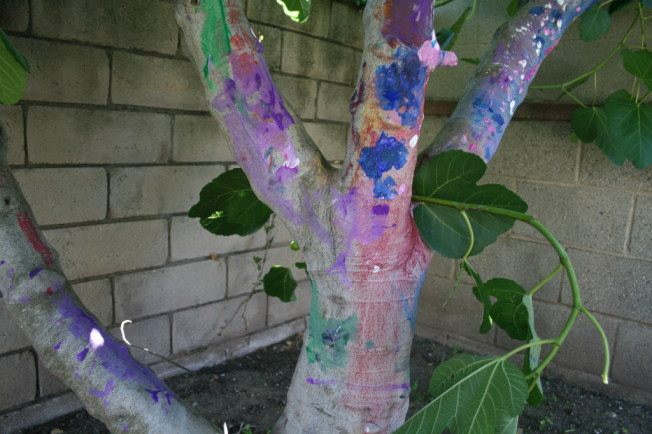 Outdoor Activities For Kids – Paint a Tree