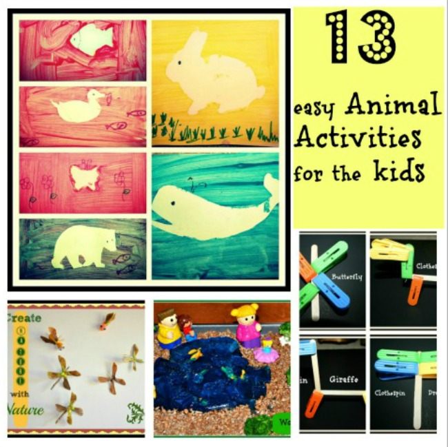 13 easy animal activities