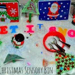 Christmas sensory im