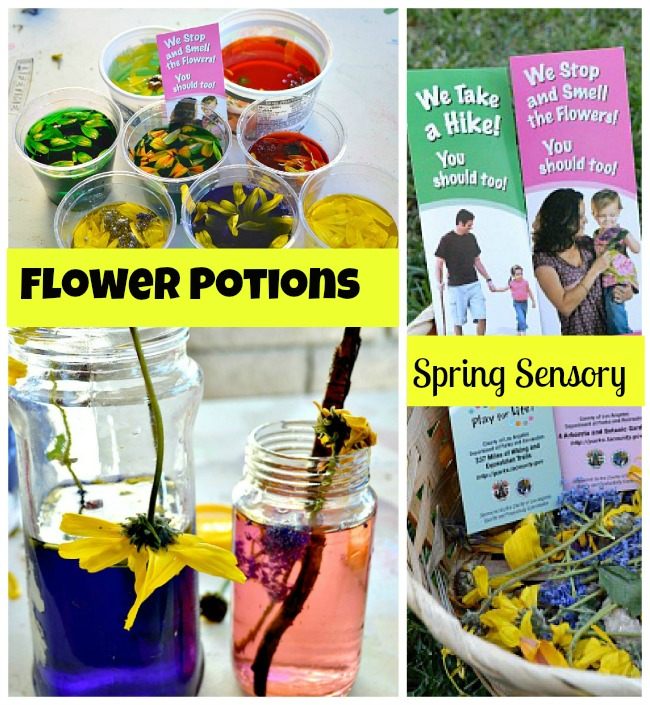 Spring Activities : Explore Outdoors and Make Flower Potions