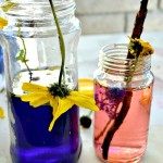 flower potions in bottles