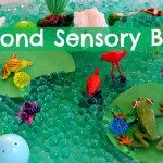 SENSORY ACTIVITIES WITH POND