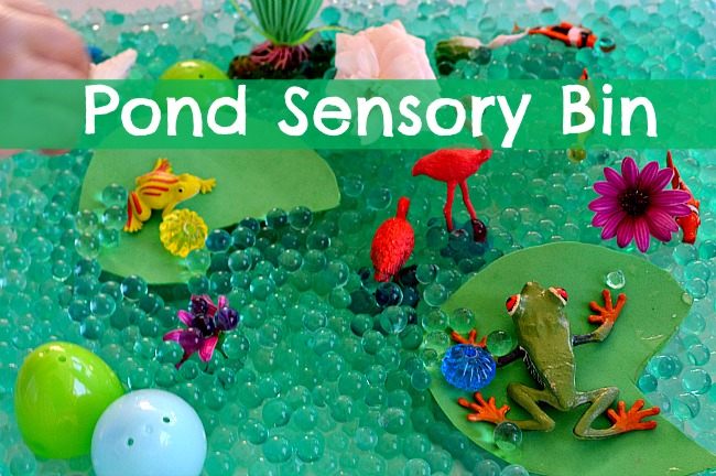 Sensory Activities : Pond life sensory play