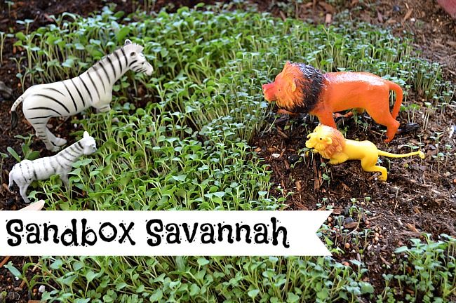 Earth Day Activities : Sandbox Savannah