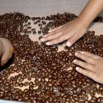 coffee beans sensory activities based on a spring