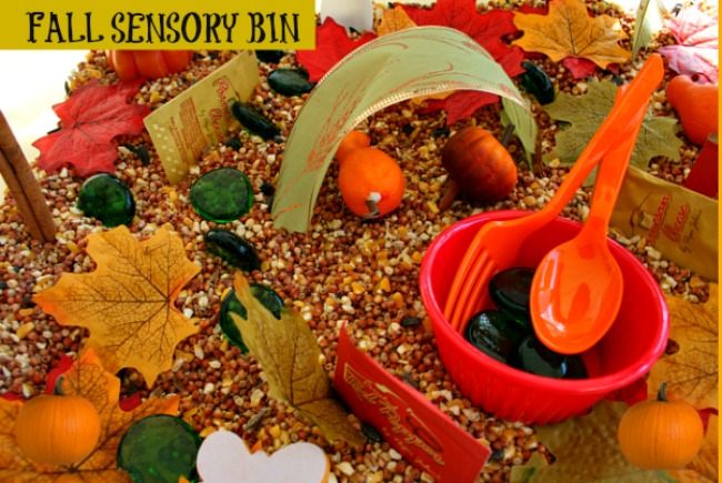 Sensory Activities: Fall Sensory Bin