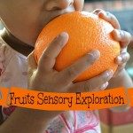 fruits sensory activities
