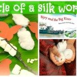 silk worm kids activity