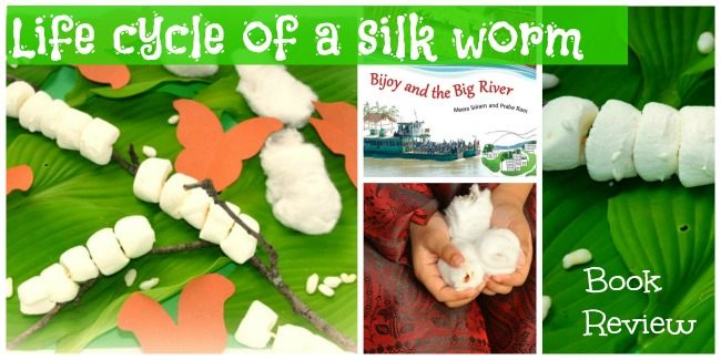 Life cycle of a silkworm and a book review