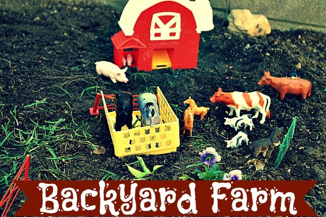 Farm in your backyard: Quick Play Idea