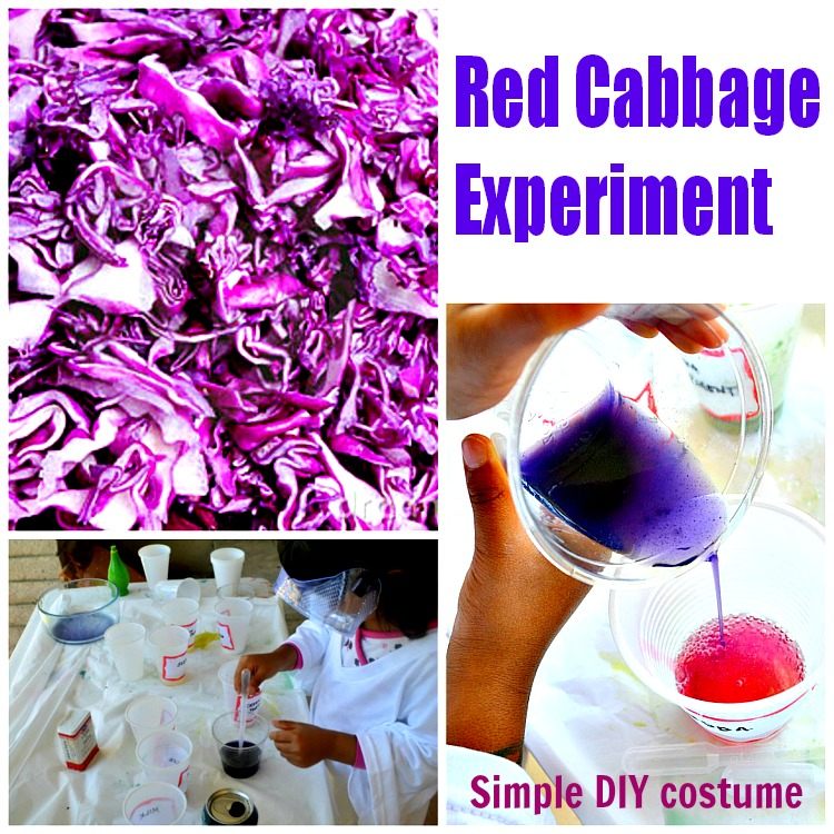 Science experiments for kids : Red Cabbage Experiment and scientist dramatic play