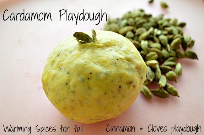 Playdough Recipe : Cardamom Playdough