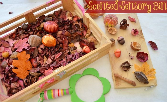 Sensory Activities for Kids: Scented Sensory Bin