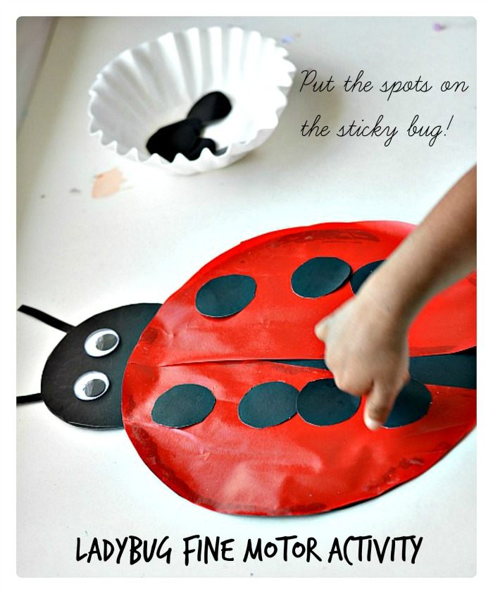 Fine Motor Activities : Sticky Lady Bug Craft