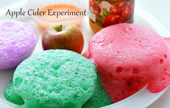 Science Experiments for Kids : Apple Cider Vinegar experiment